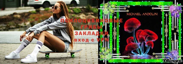 Альфа ПВП Арсеньев