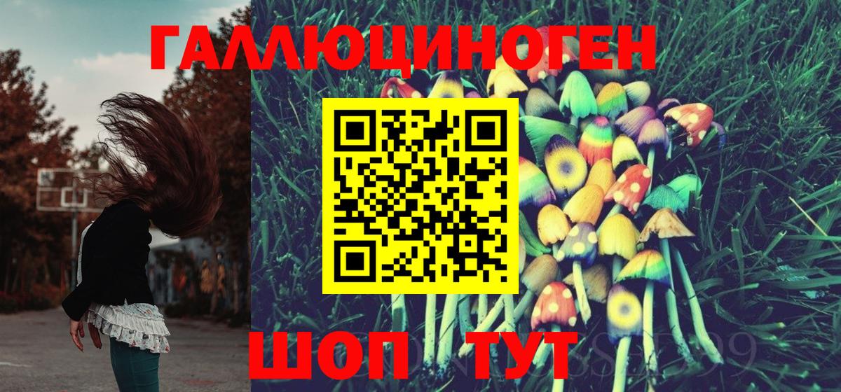 Мытищи  Галлюциногенные грибы мухоморы  где можно купить   Вход с VPN 