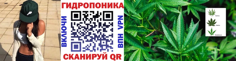 сколько стоит  Мытищи  MEGA tor  Шишки марихуана OG Kush 